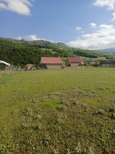Torpaq sahələrinin satışı: 30 sot, Tikinti, Mülkiyyətçi, Kupça (Çıxarış) — 3