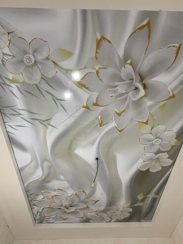 Натяжной потолок: Натяжные потолки Один из видов натяжных потолков - АРТ-ПЕЧАТЬ Арт — 16