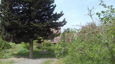 goradil torpaq satisi: 9 sot, Tikinti, Mülkiyyətçi, Kupça (Çıxarış) — 6