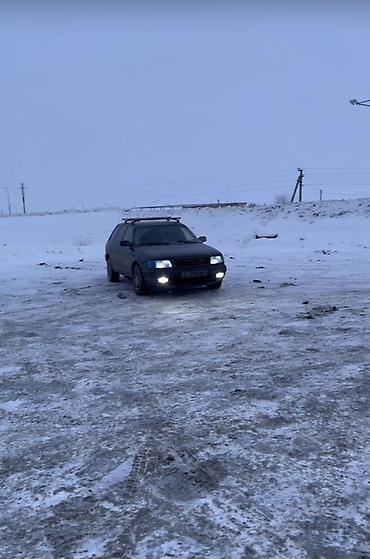 Audi: Audi 100: 1993 г., 2.3 л, Механика, Бензин, Универсал — 1