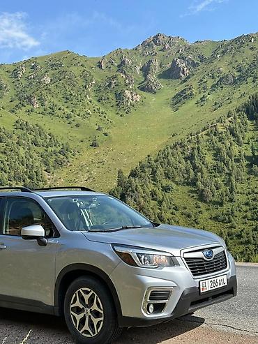 защитник: Subaru Forester: 2021 г., 2.5 л, Автомат, Бензин, Кроссовер — 5