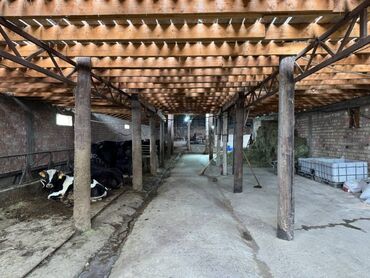 Сельхоз предприятия: Продаю Кошара, 7 соток, Действующий, Электричество — 7