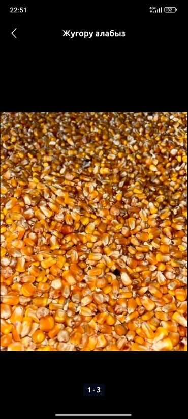 кухонный набор бу: Кукуруза Оптом