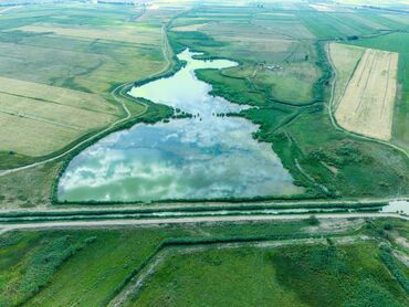 Продажа участков: 1030 соток, Для сельского хозяйства, Тех паспорт, Красная книга — 9