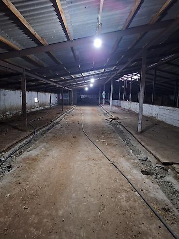 Продажа сельхоз предприятий: Продам большую ферму,расположеную в Сокулукском районе,возле — 10