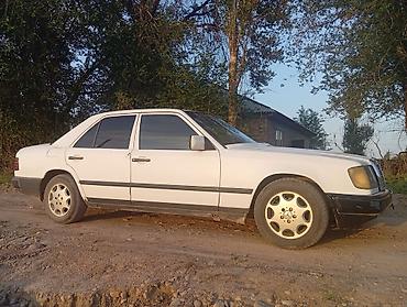 Mercedes-Benz: Mercedes-Benz W124: 1989 г., 2.3 л, Механика, Бензин, Седан — 9