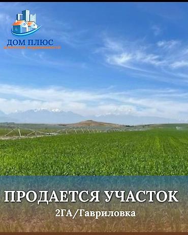 200 соток, Для сельского хозяйства at lalafo.kg 200 соток, Для сельского хозяйства