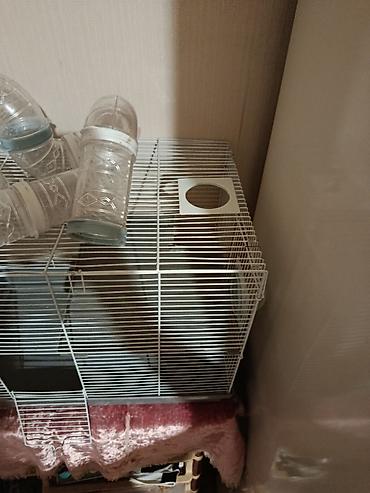 sican sekili: Hamster/qəbilə gəmiricilər üçün qəfəs və tunel dəsti - Metallik — 2