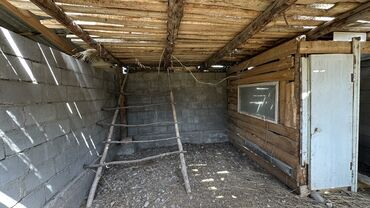 Продажа домов: Дом, 41 м², 2 комнаты, Собственник, Старый ремонт at lalafo.kg — 9 Продажа домов: Дом, 41 м², 2 комнаты, Собственник, Старый ремонт — 9