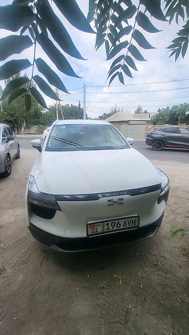 2022: BYD : 2022 г., Автомат, Электромобиль, Кроссовер — 1