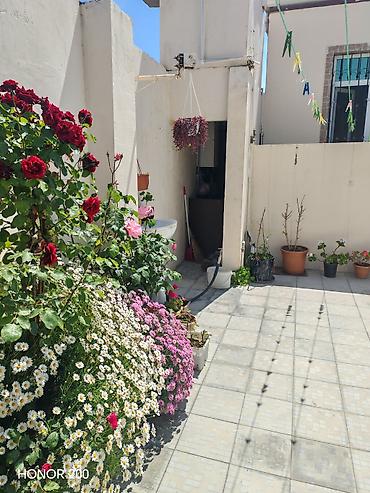 Həyət evləri və villaların satışı: Satılır: həyət evi Ünvan zığ 6 saylı Vərəm Dispanseri 3 otaqlı — 2