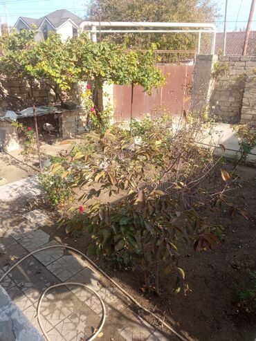 Otaqların uzunmüddətli kirayəsi: Satilr: geniş və işıqlı otaq.2 otaq 1 zal metbex hamam ayaq yolu — 24