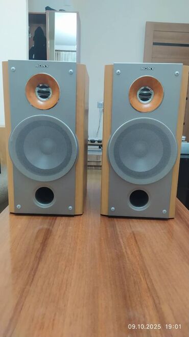 Микрофоны: Sony hi-fi kolonkalar. 100 watt, 6 om. 2 ədədin çəkisi 15 kg. İçində