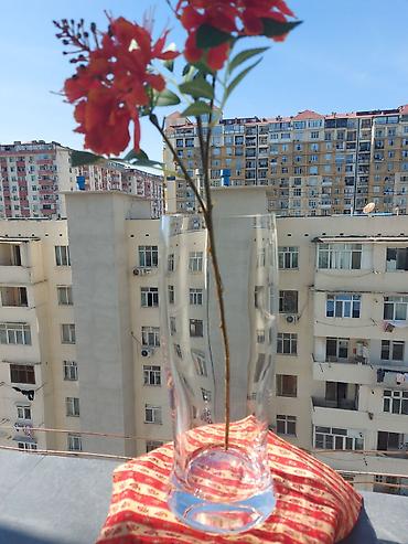 Vazalar: Bir vaza, Bogem şüşəsi — 4