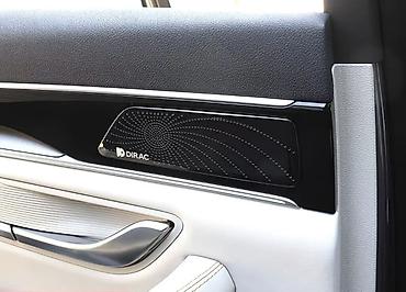 ev: Byd Song Plus ev dmi 23-25 Декоративные накладки на дверные решётки — 3