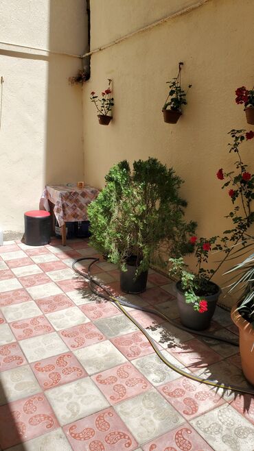 Həyət evləri və villaların satışı: 4 otaqlı, 90 kv. m, Kredit yoxdur, Yeni təmirli — 6