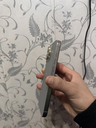 Apple iPhone: IPhone 15 Pro Max, Б/у, 256 ГБ, Серебристый, Коробка, Чехол, 85 % — 8