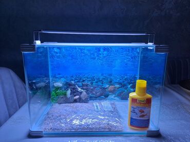 Akvarium aksessuar və ləvazimatları: 35 litrlik akvarium (45×26×30 cm) * Komplektə daxildir:* Dekorativ