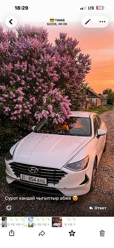 Hyundai Sonata: 2020 г., 0.2 л, Автомат, Газ, Седан