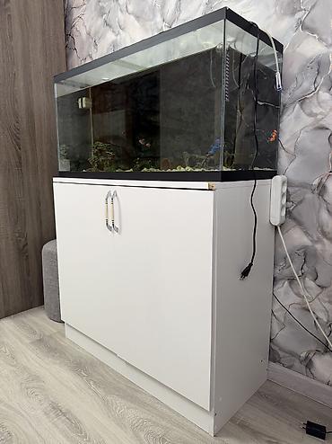 akvarium işığı: Dördbucaq akvarium, Boş, 150 l — 3