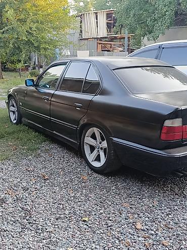 BMW 5 series: 1994 г., 2.5 л, Кол менен иштөөчү, Бензин, Седан lalafo.kg да — 3 BMW 5 series: 1994 г., 2.5 л, Кол менен иштөөчү, Бензин, Седан — 3