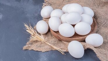 яйцо цена: Инкубационное Яйцо Хай Лайн Соня, цена 30 сом. Инкубационное Яйцо