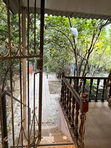 Uzunmüddətli kirayə mənzillər: Həzi Aslanov metrosuna 4 deq mesafədə yerlesən 5 mərtəbənin,1- ci — 7