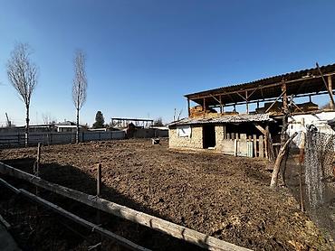 Долгосрочная аренда домов: Продается большой дом с отдельной кухней, в городе Каинда. 9 соток — 9