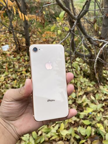 дисплей на айфон 8: IPhone 8, Колдонулган, 64 ГБ, Алтын, Каптама, 70 %