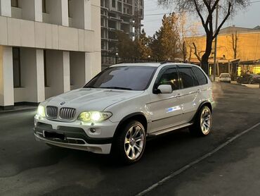 BMW: BMW X5: 2005 г., 4.8 л, Автомат, Бензин, Внедорожник