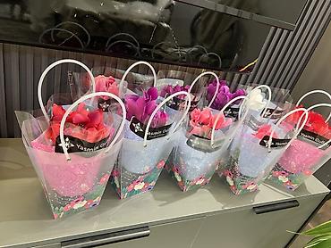 Аглаонемы: Аглаонема (Aglaonema) с вариегатной листвой — крупные — 70