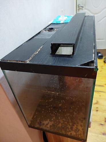 akvarium satisi: Dördbucaq akvarium, Boş, 150 l, Ünvandan götürmə — 7