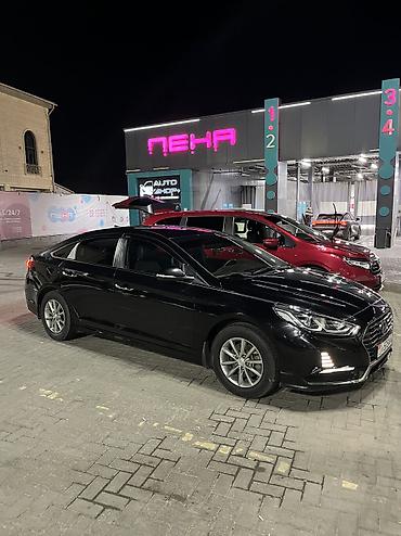 sonata: Hyundai Sonata: 2019 г., Автомат, Газ, Седан — 1