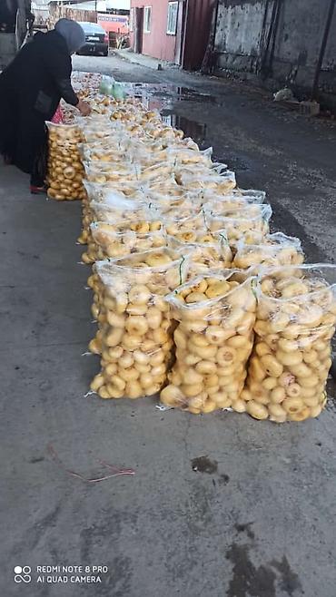 Промышленные холодильники и комплектующие: Сдаются в аренду холодильники промышленные для сельскохозяйственных — 8