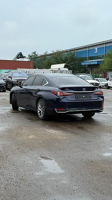 2022: Lexus ES: 2022 г., Гибрид, Седан — 7