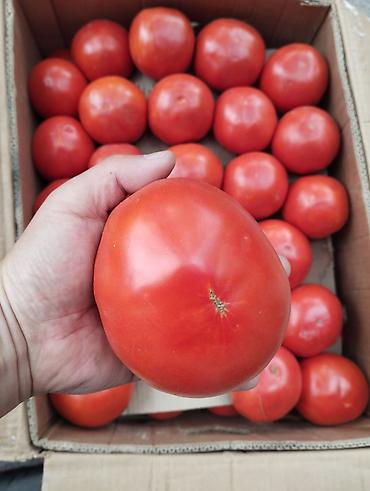огурцы помидоры: Заготовки на зиму. Широкий ассортимент продукции. Бесплатная — 2