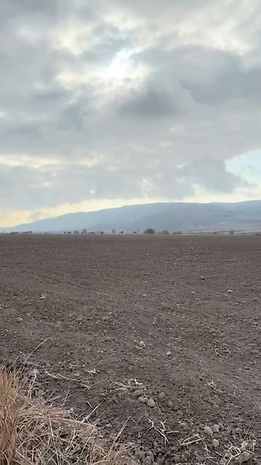 Torpaq sahələrinin satışı: Kənd təsərrüfatı -da lalafo.az — 5 Torpaq sahələrinin satışı: Kənd təsərrüfatı — 5