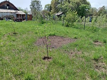 Продажа коттеджей и домов: Продаётся одноэтажный дом с мансардой и приусадебным участком. - — 8