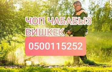 птица домашняя: Газонокосилка