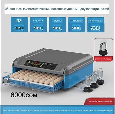 Инкубаторы: Инкубаторы с двойным электроприводом и полностью автоматическим — 11