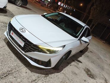 купить авто хендай палисад: Hyundai Avante: 2021 г., 1.6 л, Автомат, Газ, Седан