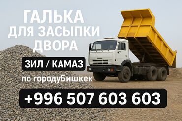 растения для аквариума купить: Майда таш, Дарыя ташы, Төгүү үчүн, Зил
