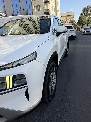 li auto: Hyundai Santa Fe: 2020 г., 2.2 л, Дизель, Кроссовер — 3