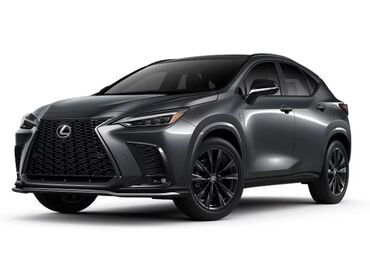 Lexus: Lexus NX: 2023 г., 2.4 л, Автомат, Бензин, Кроссовер