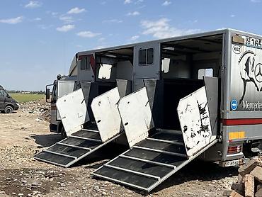 vag com: Грузовик-коневоз Mercedes-Benz Atego 817. - Специализированный кузов — 2