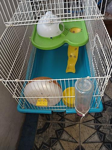 Heyvanlar: Hamster üçün tam dəst qəfəs uzunluqu 55 sm hündürlük 45 sm eni 30 sm — 4