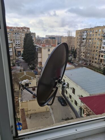 qurd həkimi in Azərbaycan | İTLƏR: Hec bir problemi yoxdur kompilekt satilir aparatda var televizorda var