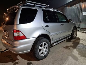 Mercedes-Benz: Mercedes-Benz M-Class: 2003 г., 4 л, Автомат, Дизель, Внедорожник — 11