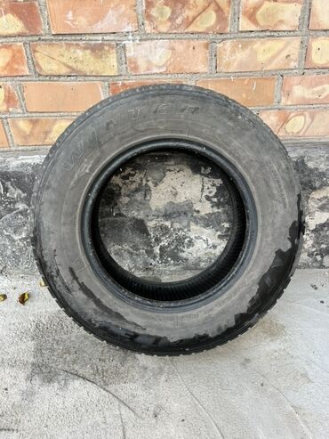 купить шипы для шин: Зимняя шина без шипов. - Назначение: зима (надпись WINTER на борту)