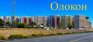 1 комната, 51 м², Селекционное с. Элитка, 8 этаж, Евроремонт